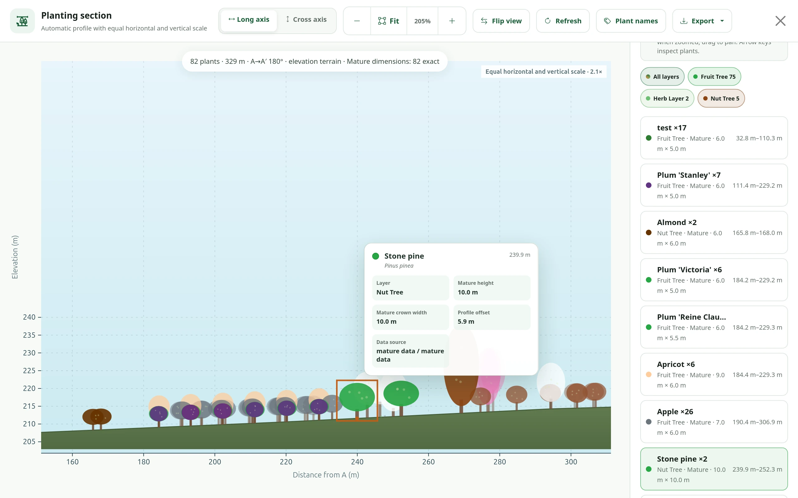 Planting section comparing mature plant heights, crown widths and terrain elevation